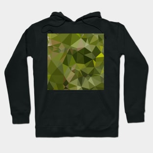 Sap Green Abstract Low Polygon Background Hoodie